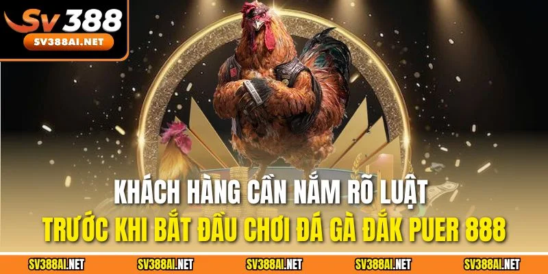 Khách hàng cần nắm rõ luật trước khi bắt đầu chơi đá gà Đắk Puer 888