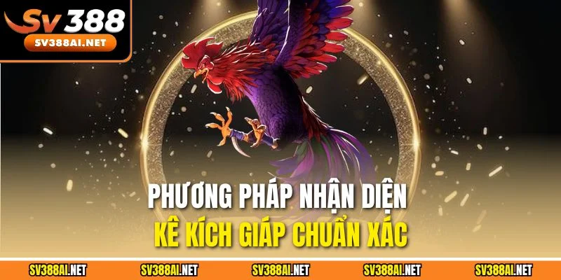 Phương pháp nhận diện kê kích giáp chuẩn xác Phương pháp nhận diện kê kích giáp chuẩn xác